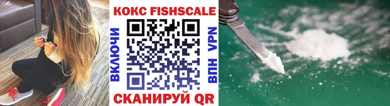 Cocaine Fish Scale  дарнет шоп  Суздаль 