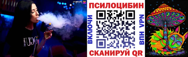 Псилоцибиновые грибы Psilocybine cubensis  Суздаль 